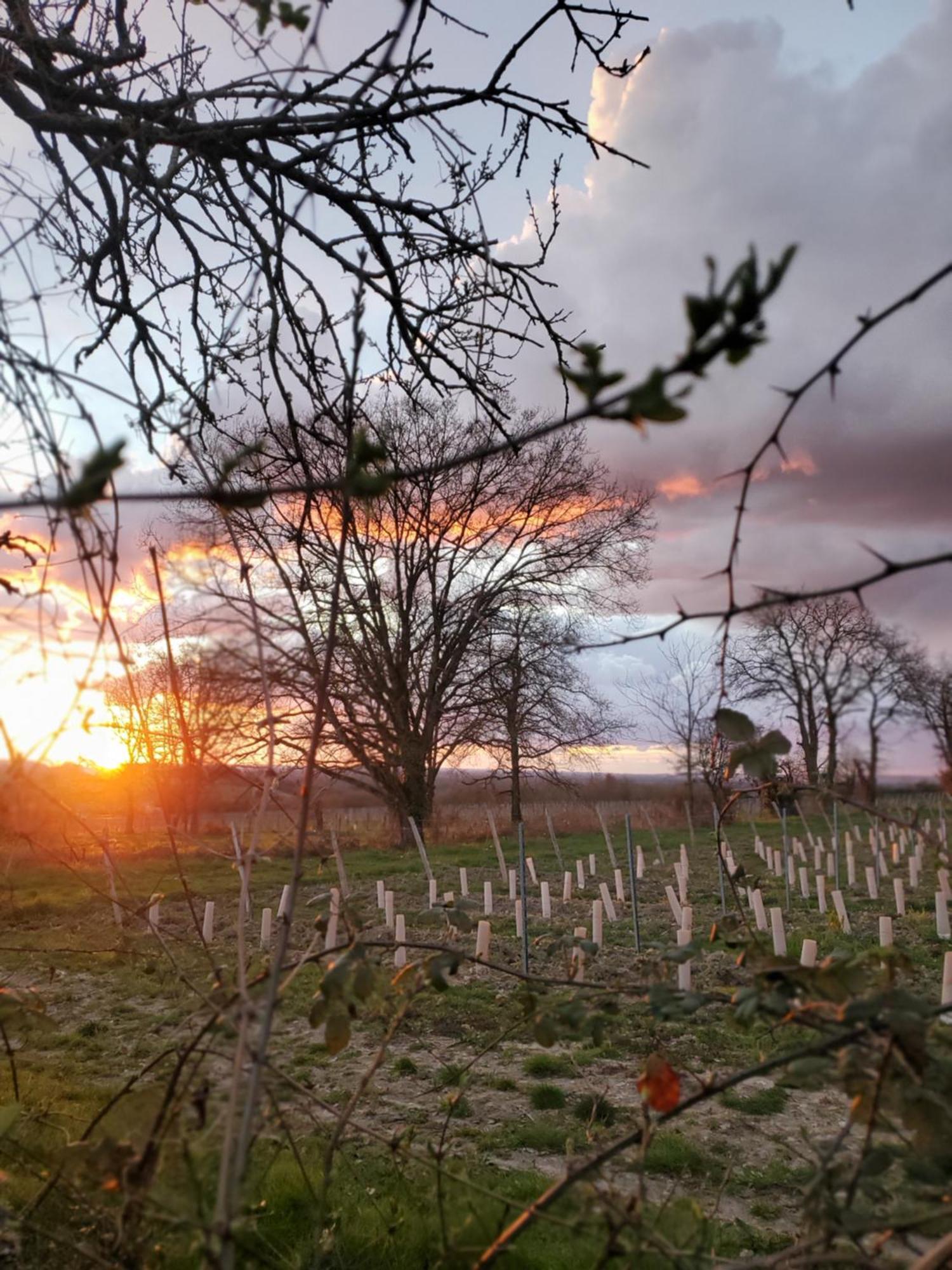 Gite Au Coeur De La Touraine La Chapelle-sur-Loire Eksteriør bilde