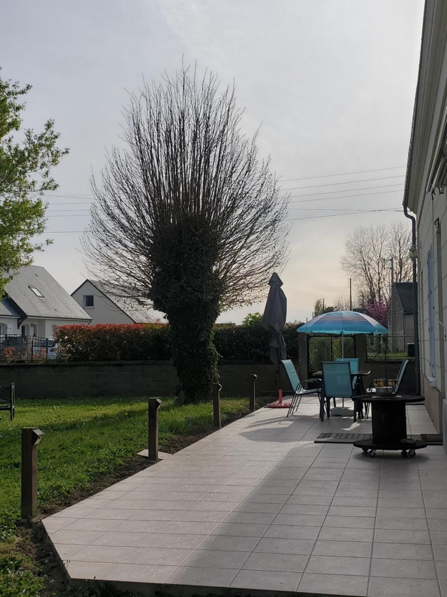 Gite Au Coeur De La Touraine La Chapelle-sur-Loire Eksteriør bilde
