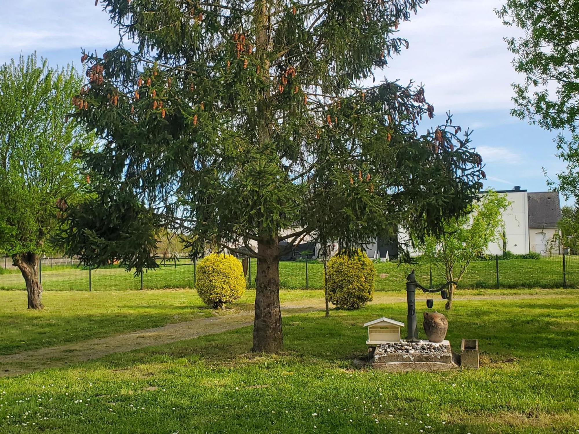 Gite Au Coeur De La Touraine La Chapelle-sur-Loire Eksteriør bilde